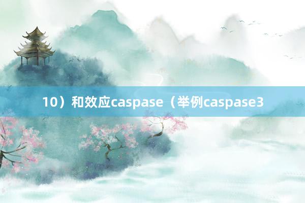 10）和效应caspase（举例caspase3